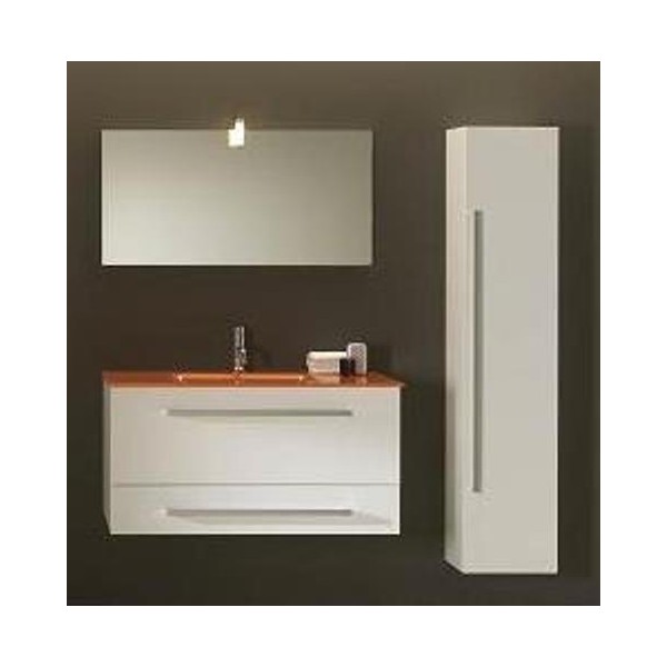 COMPONIBILE DA BAGNO SERIE MODERNO CM 100 CON COLONNA CM 35