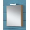 SPECCHIO CONTENITORE 1 ANTA KORA FRASSINATO CM.L 51 X H.70 X P.15,5