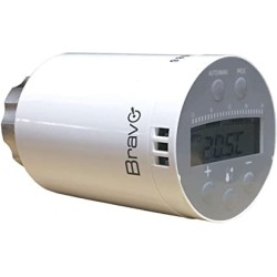 TERMOVALVOLA DIGITALE