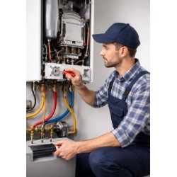 BOLLINO BLU PER CALDAIE SU ROMA ENTRO GRA