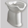 VASO BIDET DISABILE COMFORT CON EROGATORE  SCARICO PARETE